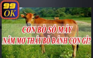 Nằm mơ thấy bò vào nhà